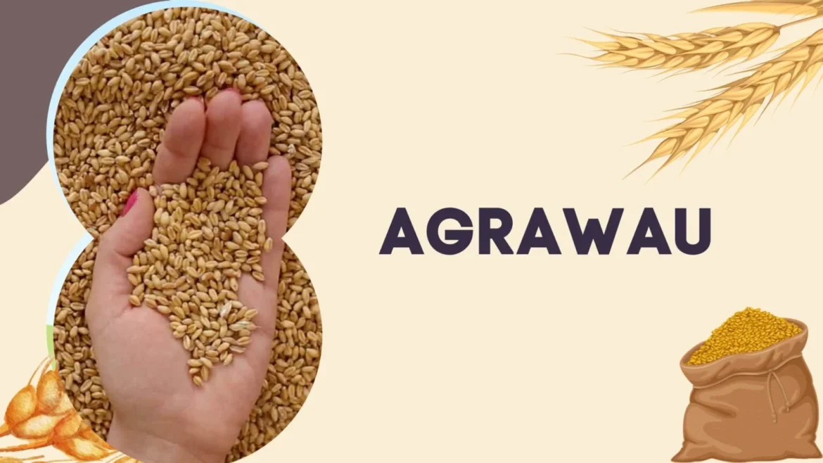 Agrawau: Exploring the Origins and Meaning of a Mysterious